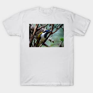 Blue Faced Honey Eater T-Shirt